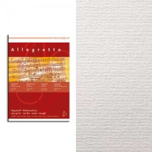 Бумага акварельная Hahnemuehle "Allegretto" 50х60 см 150 г/м² мелкозернистая Бумага акварельная Hahnemuehle "Allegretto" 50х60 см 150 г/м² мелкозернистая