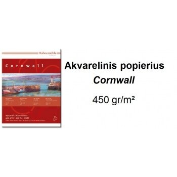 Бумага акварельная Hahnemuehle "Cornwall" 50х65 см 450 г/м² крупнозернистая 1