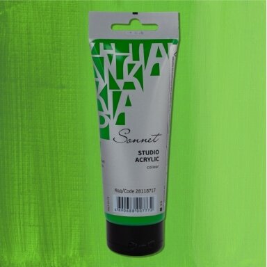 Acrylic Paints Sonnet in Plastic Tube 120 ml — 717 Green light