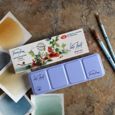 Artists' watercolours set White Nights 21x2.5 ml pans metal box