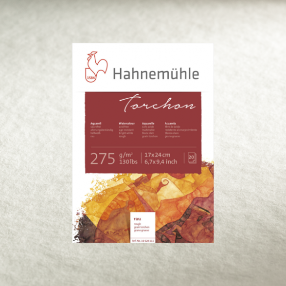 Бумага акварельная Hahnemuehle "Torchon" 70х100 см 275 г/м² 1
