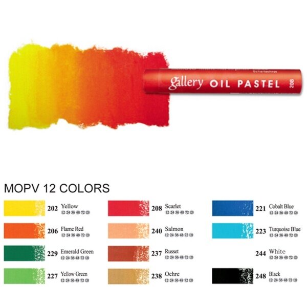 Oil pastel set Mungyo 12 pcs 1