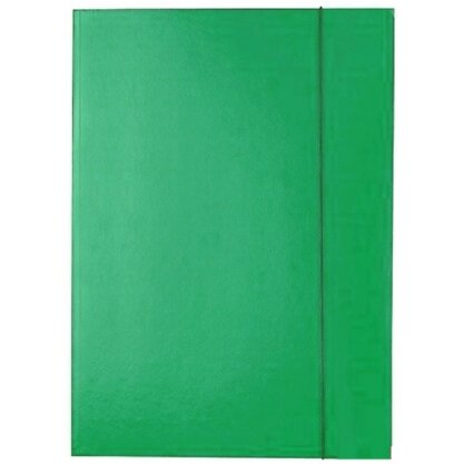 Cardboard folder Kreska A4 with elastic green Cardboard folder Kreska A4 with elastic green