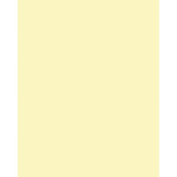 Passepartouts OVAL CUT 220g/m², 10,5x15cm, 5 cards&envelopes, straw yellow 3