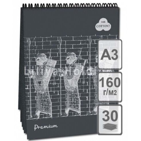 Bloknotas su spirale "Premium Graphitе" (pilkas) А3 30 lapų 160 g/м2 tekstūrinis popierius pastelei "Drobė" 40% medvilnė 1 Bloknotas su spirale "Premium Graphitе" (pilkas) А3 30 lapų 160 g/м2 tekstūrinis popierius pastelei "Drobė" 40% medvilnė 1
