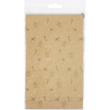 Clear Bags  145x235mm, 10 pieces