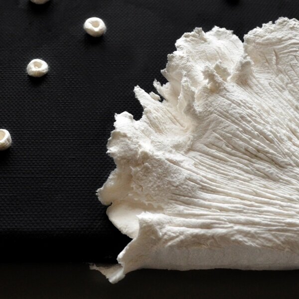 Celiulozės pasta Artline Viva Decor 900 g, natūralios baltos spalvos 6 Celiulozės pasta Artline Viva Decor 900 g, natūralios baltos spalvos 6