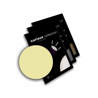 Paper Curious A4 120 gsm 50 sheets White Gold