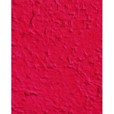 Dekoratyvinis popierius Folia "Šilkmedis" 38,5x51 cm, 100 g/m2, raudonas Dekoratyvinis popierius Folia "Šilkmedis" 38,5x51 cm, 100 g/m2, raudonas