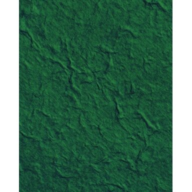 Mulberry Paper 100g/m², app. 38,5x51cm, 10 sheets, fir green