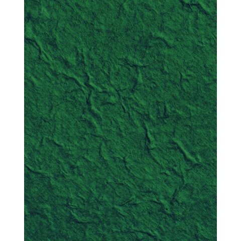 Dekoratyvinis popierius Folia "Šilkmedis" 38,5x51 cm, 100 g/m2, žalias Dekoratyvinis popierius Folia "Šilkmedis" 38,5x51 cm, 100 g/m2, žalias