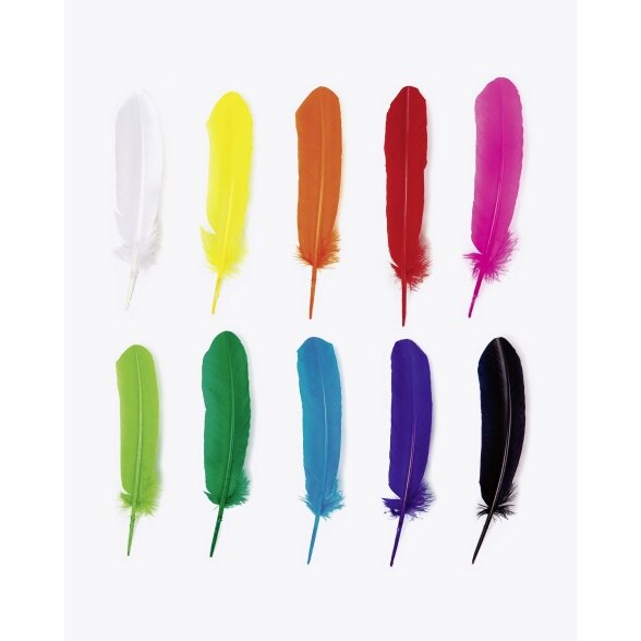 Indian Feathers, appx. 30-35cm, 10 pieces in 10 assorted colours 1