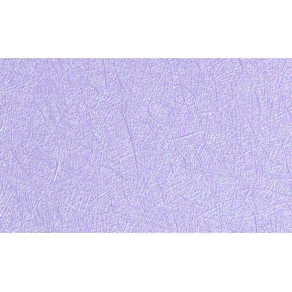 Dekoratyvinis kartonas "Threads metallic" 10 lapų 7 Dekoratyvinis kartonas "Threads metallic" 10 lapų 7