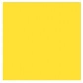 Colored Cardboard A4 160 gsm 20 sheets Nr.56 Yellow