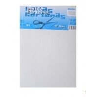 Kartonas baltas A4, 10 lapų