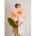 Tissue Paper 50cmx2,5m 180 gsm No.F047A Brown 1