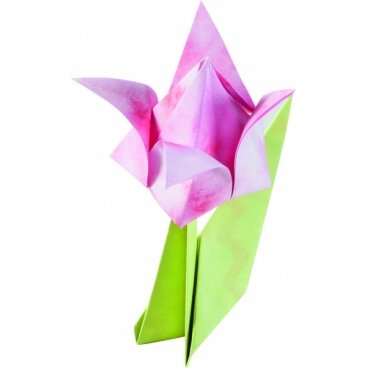 Folding Paper Set BLOSSOMS, 50 sheets in 15x15cm, 120 sheets in 7,5x7,5cm 5