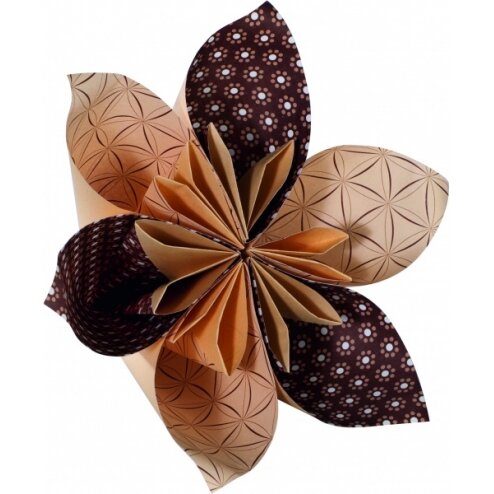 Origami Folia "BASICS" 20x20 cm, 50 lapų, 5 rudi motyvai 4