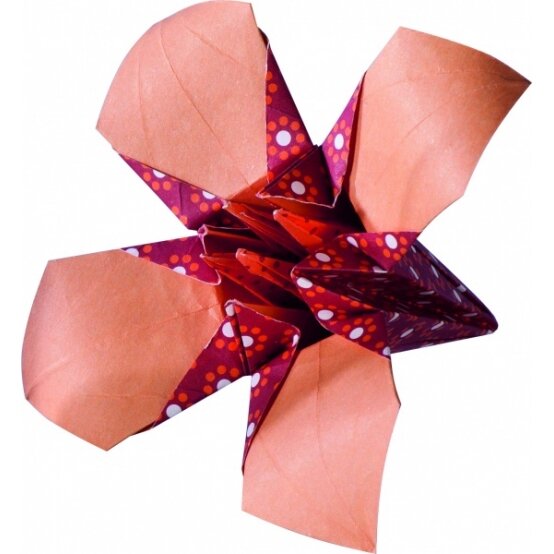 Origami Folia "BASICS" 15x15 cm, 50 lapų, 5 raudoni motyvai 5
