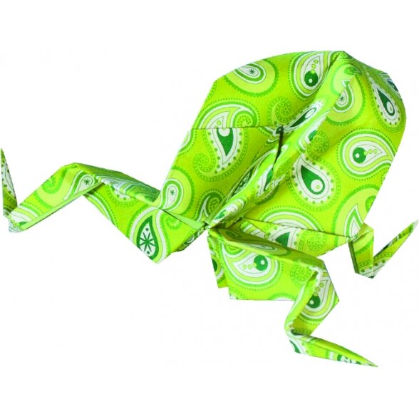 Оригами   BASICS GREEN 80 г / м², 20x20 см, 50 листов, 5 разных дизайнов 5