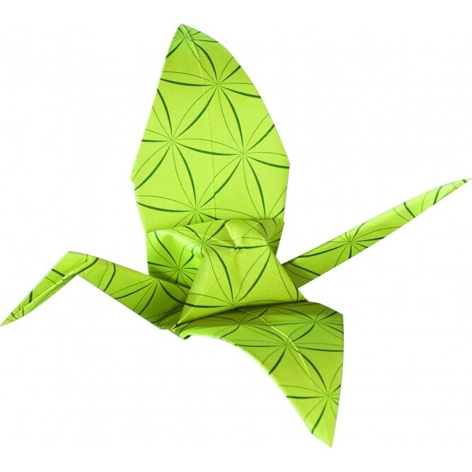 Folding Papers BASICS GREEN 80g/m², 15x15cm, 50 sheets, 5 assorted designs 4