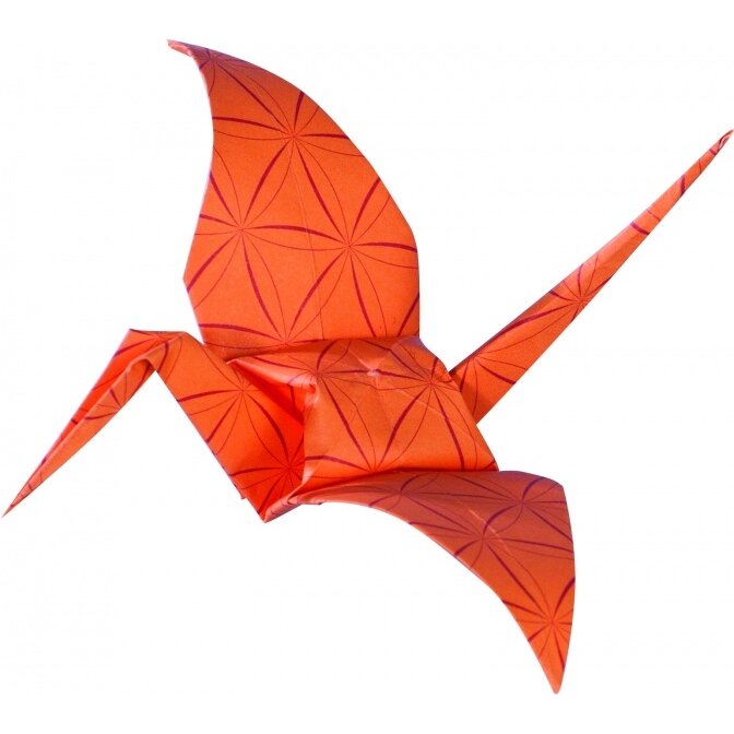 Origami Folia "BASICS" 15x15 cm, 50 lapų, 5 raudoni motyvai 3
