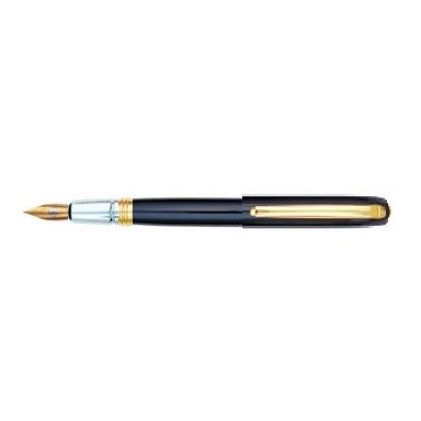 Plunksnakotis metalinis Liqin W023