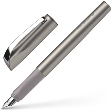 Plunksnakotis Schneider Ceod Shiny Pearl grafito spalvos