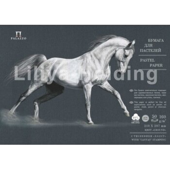 Popierius tekstūrinis pastelei Palazzo B3 160 g/m2 10 lapų juodos spalvos