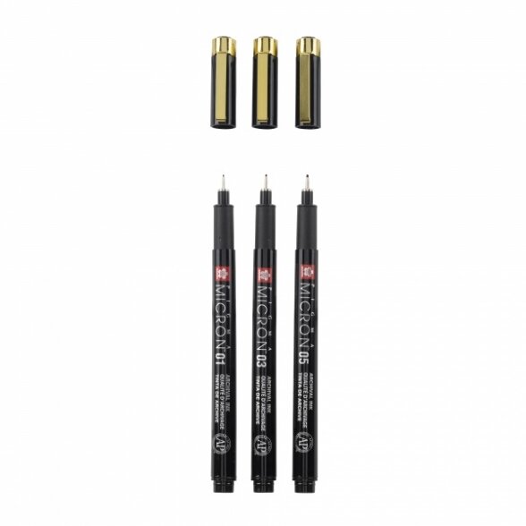 Рапитограф Sakura Pigma Micron Black&Gold 3 штуки 1 Рапитограф Sakura Pigma Micron Black&Gold 3 штуки 1