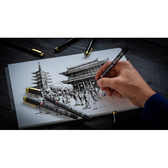 Рапитограф Sakura Pigma Micron Black&Gold 3 штуки 3 Рапитограф Sakura Pigma Micron Black&Gold 3 штуки 3