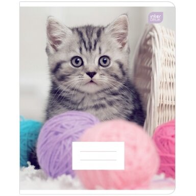 Sąsiuvinis Interdruk 12 lapų linijomis I LOVE PETS (2022)
