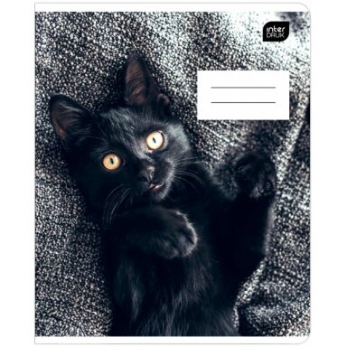 sasiuvinis-interdruk-12-lapu-linijomis-i-love-pets-2022 sasiuvinis-interdruk-12-lapu-linijomis-i-love-pets-2022