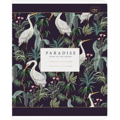 Sąsiuvinis Interdruk 48 lapų langeliais 70 g/m2 Paradise