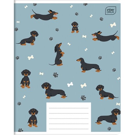 Notebook Interdruk A5 24 NEW MIX 3 1