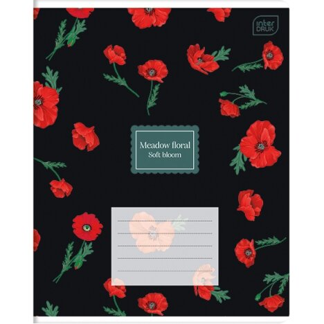 Notebook Interdruk MIX 2, 48 sheets, cell 1