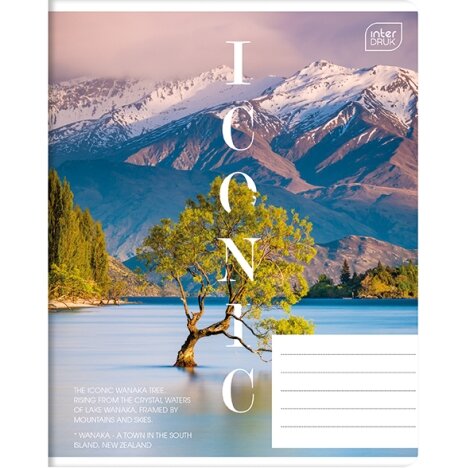 Notebook Interdruk NATURE 3, 48 sheets, cell 2