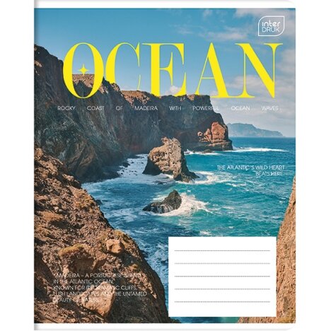Notebook Interdruk NATURE 3, 48 sheets, cell 3