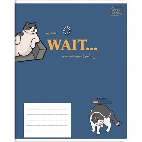 Notebook Interdruk  Mix 2, 60 sheets, line 3