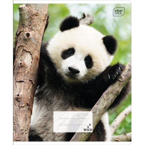 Notebook Interdruk A5 12 Wild Coll cell 5 Notebook Interdruk A5 12 Wild Coll cell 5