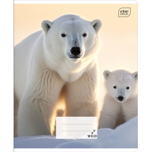 Notebook Interdruk A5 12 Wild Coll cell 6 Notebook Interdruk A5 12 Wild Coll cell 6