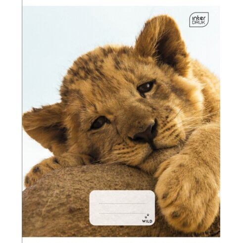 Notebook Interdruk A5 12 Wild Coll cell 3 Notebook Interdruk A5 12 Wild Coll cell 3