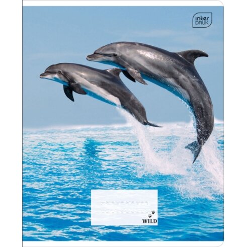Notebook Interdruk A5 12 Wild Coll cell 7 Notebook Interdruk A5 12 Wild Coll cell 7