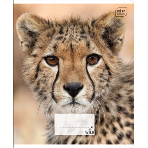 Notebook Interdruk A5 12 Wild Coll cell 4 Notebook Interdruk A5 12 Wild Coll cell 4