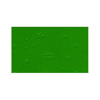 Textured Card STAR DESIGN 220g/m², 50x70cm, 5 sheets, fir green