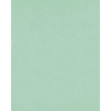 Tissue Paper 20g/m², 50x70cm, 26 sheets, mint Tissue Paper 20g/m², 50x70cm, 26 sheets, mint