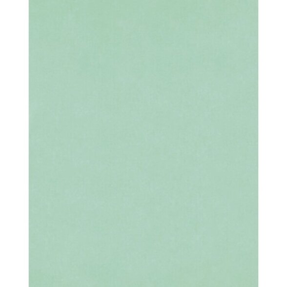 Tissue Paper 20g/m², 50x70cm, 26 sheets, mint 1