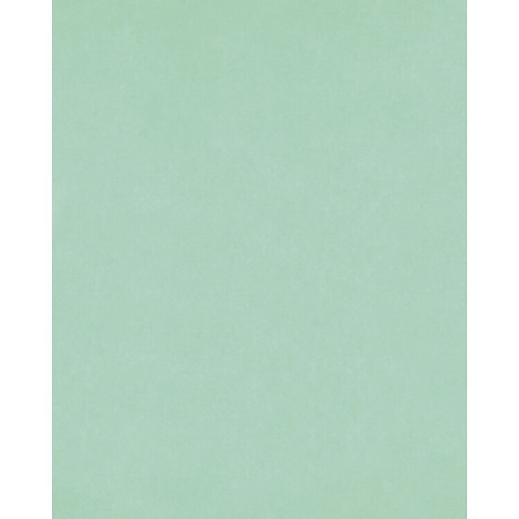 Tissue Paper 20g/m², 50x70cm, 26 sheets, mint 1 Tissue Paper 20g/m², 50x70cm, 26 sheets, mint 1