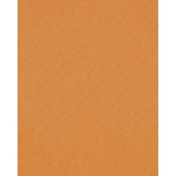 Vokų ir atvirukų ruošiniai-ovalas Folia 220 m2, 3 vnt. oranžinės spalvos 1