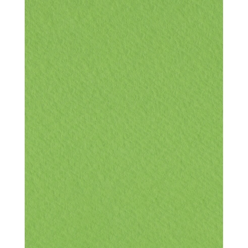 Vokų ir atvirukų ruošiniai-ovalas Folia 220 m2, 3 vnt. salotinės spalvos 1 Vokų ir atvirukų ruošiniai-ovalas Folia 220 m2, 3 vnt. salotinės spalvos 1
